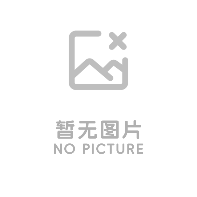 导热油电加热器
